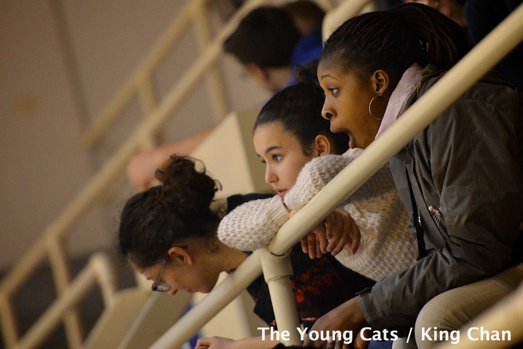 Young Cats / PEAC Pecs 3292