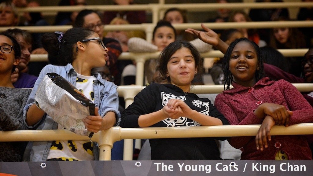 Young Cats / PEAC Pecs 3394