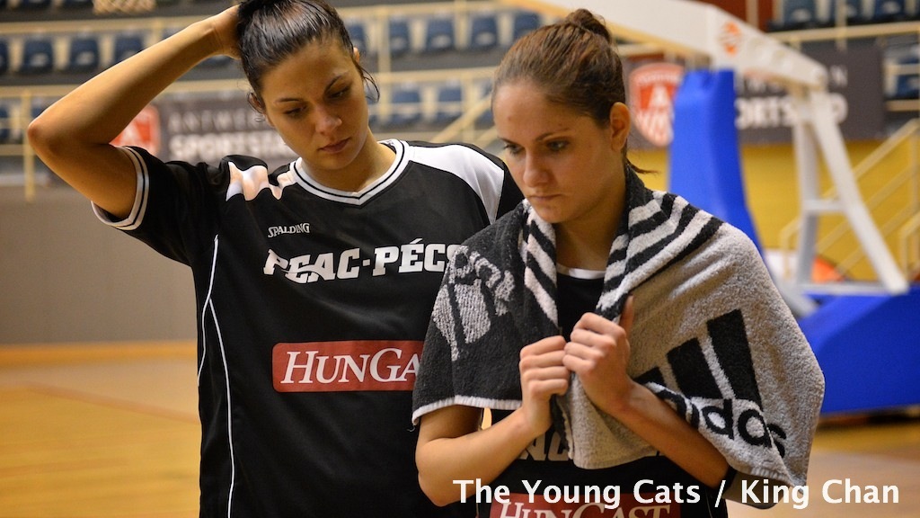 Young Cats / PEAC Pecs 3862