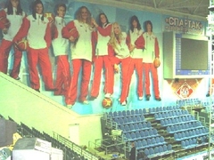 Sports Palace Vidnoje