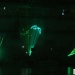 The Opening Ceremony