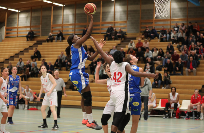 Qui de Kangoeroes Willebroek ou Declercq Storbeton Waregem en finale de la Coupe ?