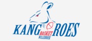 Kangoeroes Willebroek - 2017/2018 Kangoeroes Willebroek - 2017/2018