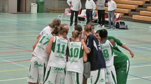 DS Waregem remis en selle au bon moment DS Waregem remis en selle au bon moment