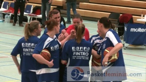 Qui pour succéder à Crack Blue Cats Ieper ? Qui pour succéder à Crack Blue Cats Ieper ?