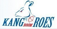 Kangoeroes-Boom - Saison 2013/2014 Kangoeroes-Boom - Saison 2013/2014