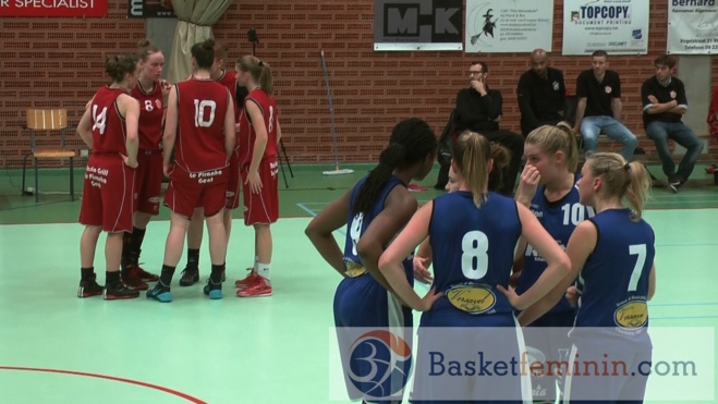 Deuxième victoire de la saison pour Crack Blue Cats Ieper
