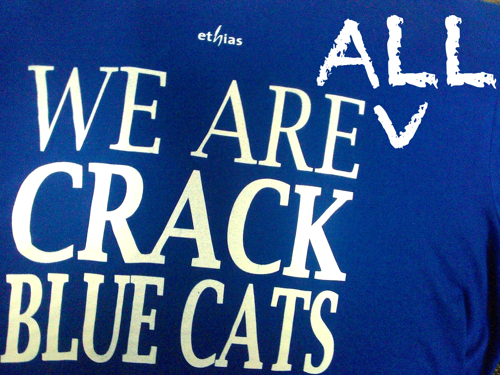 Soutenus par les autres clubs, Crack Blue Cats Ieper veut rester en division I
