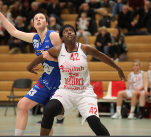 Qui de Kangoeroes Willebroek ou Declercq Storbeton Waregem en finale de la Coupe ?