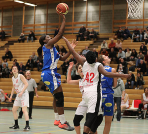 TV - Live - Coupe de Belgique - Kangoeroes Willebroek vs Declercq Stortbeton Waregem