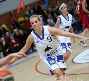 Finale des play-off - Crack Blue Cats Ieper ou Kangoeroes-Boom pour une première
