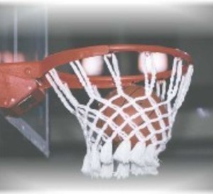 Basket féminin - Les clubs de DI s'associent !