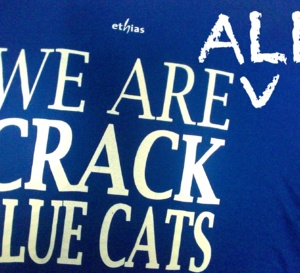 Soutenus par les autres clubs, Crack Blue Cats Ieper veut rester en division I