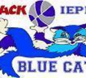 Dossier de Crack Blue Cats Ieper - Koen Umans: "oui, nous avons répondu"