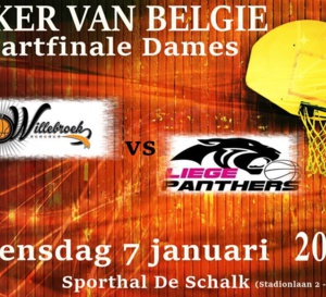 Coupe de Belgique - Basket Willebroek face à Liège Panthers pour une place en demi