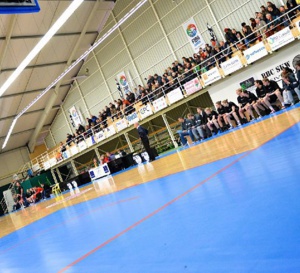 Live - TV - Sint-Katelijne-Waver / Kangoeroes-Boom
