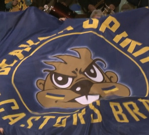 Euroleague - Mithra Castors Braine chez les championnes d'Europe