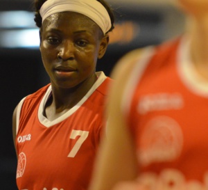 20e journée - Kangoeroes Willebroek en impose à Liège Panthers 54-68