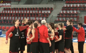 TV Livestream - Belgium vs Poland (Euro-2017/Qualifications)