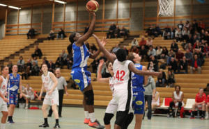 TV - Live - Coupe de Belgique - Kangoeroes Willebroek vs Declercq Stortbeton Waregem