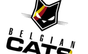Tous les coaches des Belgian Cats
