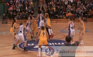 TV - Castors Braine / Kangoeroes-Boom 90-61