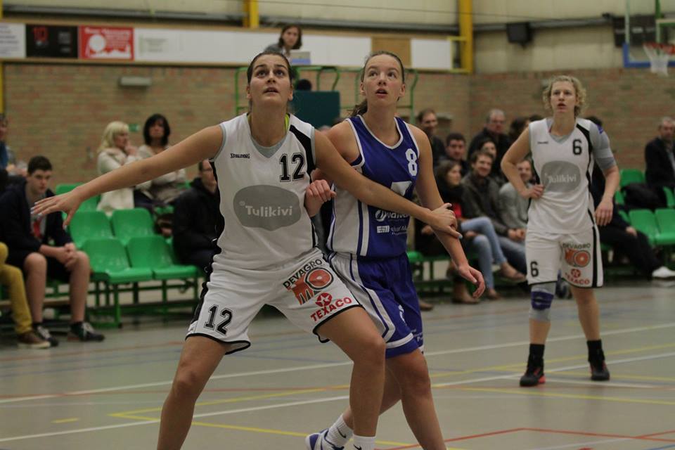 Tulikivi Deerlijk / Kangoeroes-Boom (photo: Eddy Lippens)